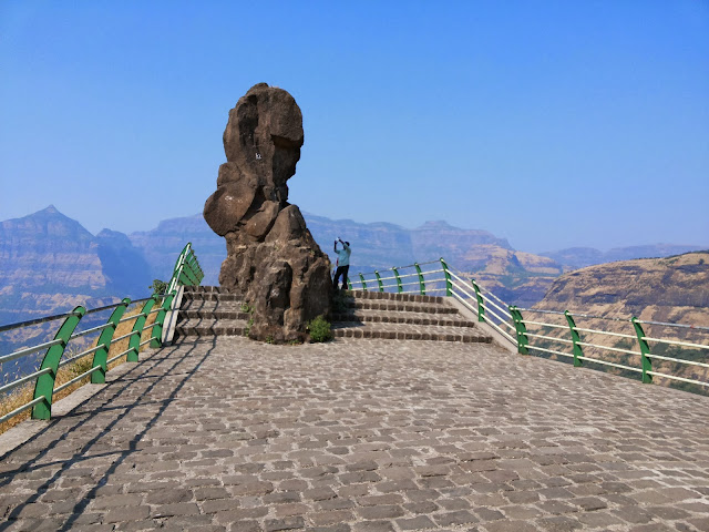 Malshej Ghat needle point