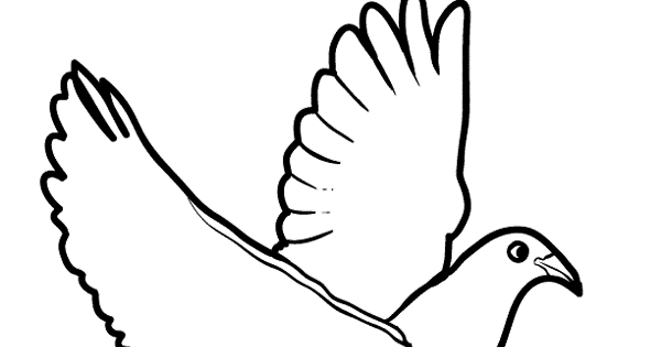 30+ Gambar Burung Terbang Untuk Mewarnai