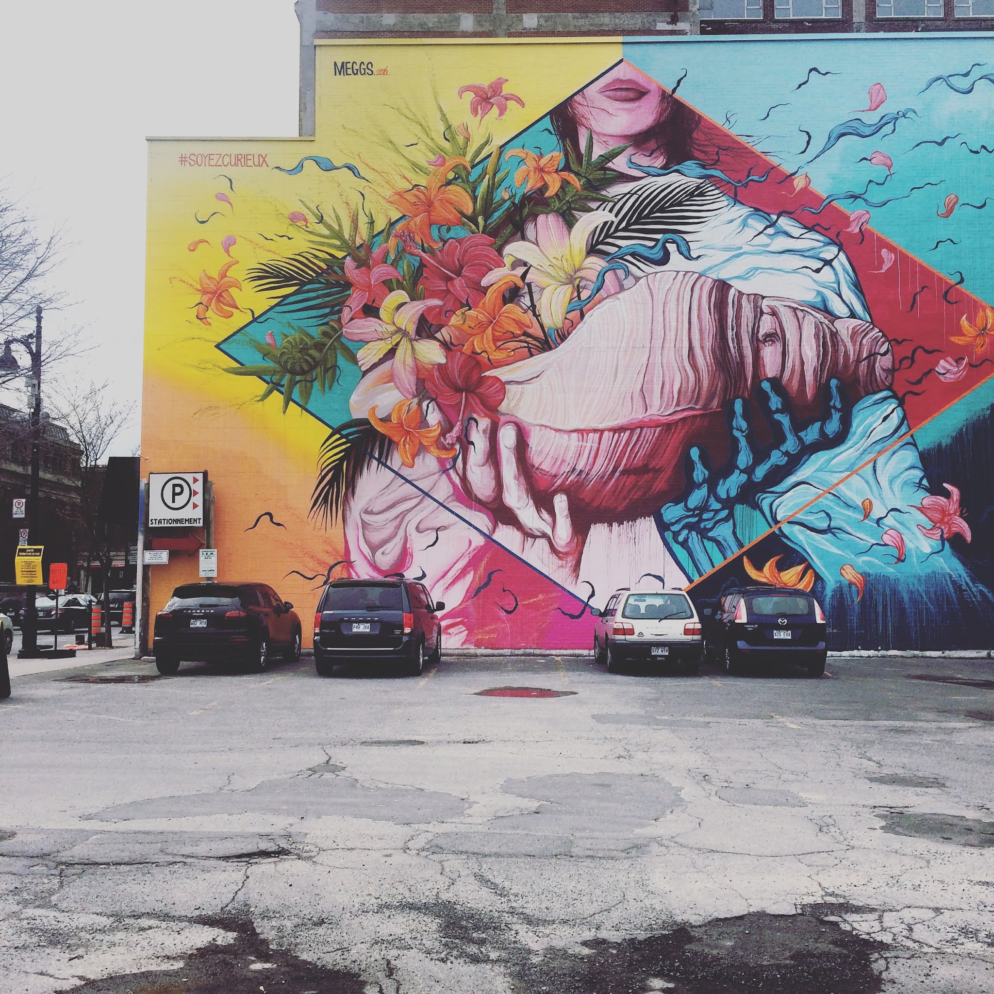 David 'Meggs Hook's Expand Your World mural in Montreal