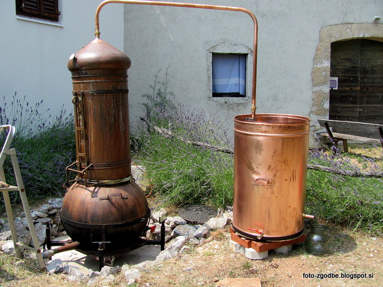 Ivanji Grad na Krasu, Festival sivke Slovenija, Komenski Kras