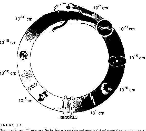Serpent Ring Meaning Serpent Ring Meaning