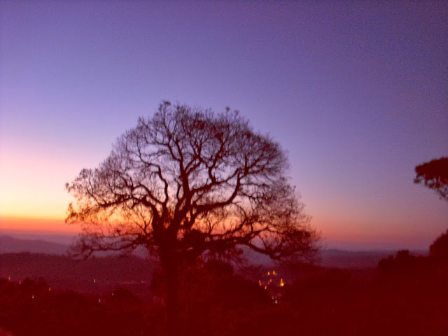 Foto tirada em Monte Verde