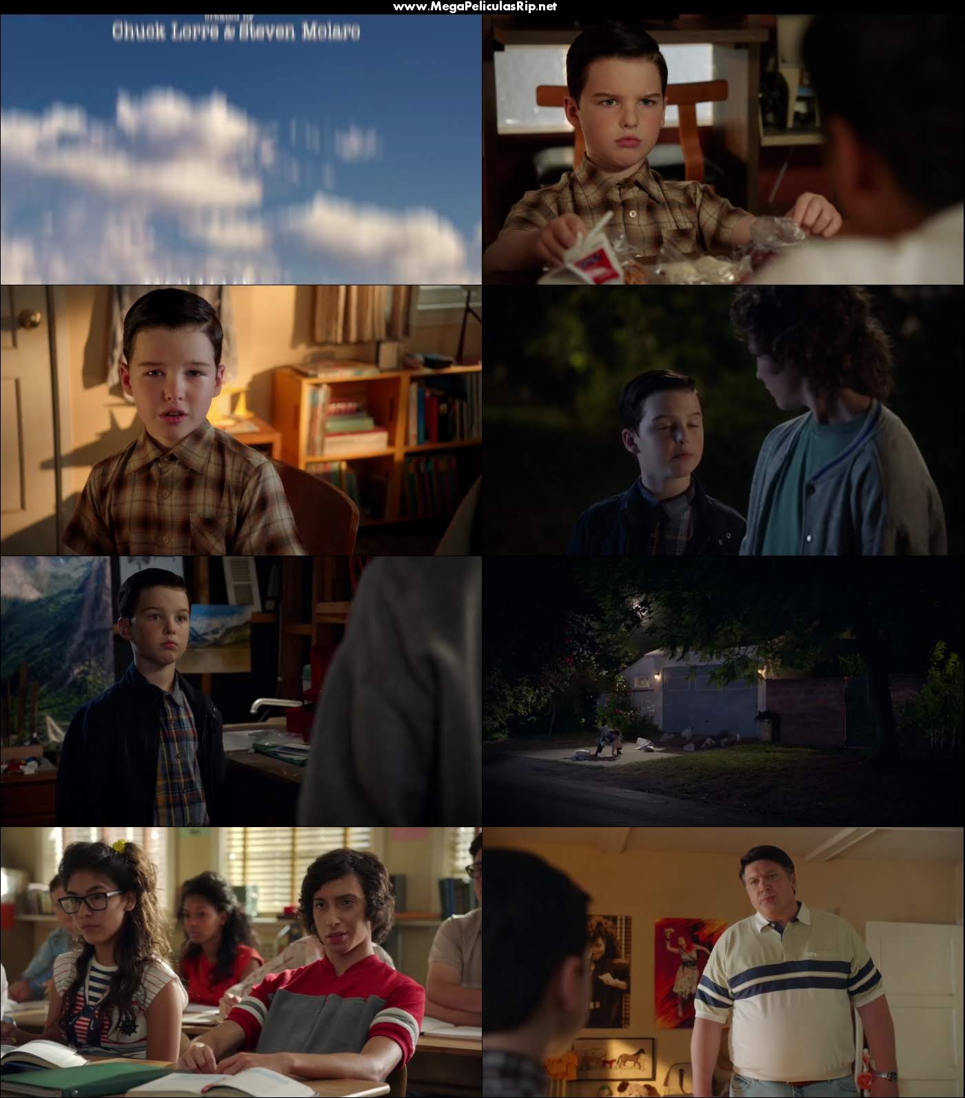Young Sheldon Temporada 2 720p Latino