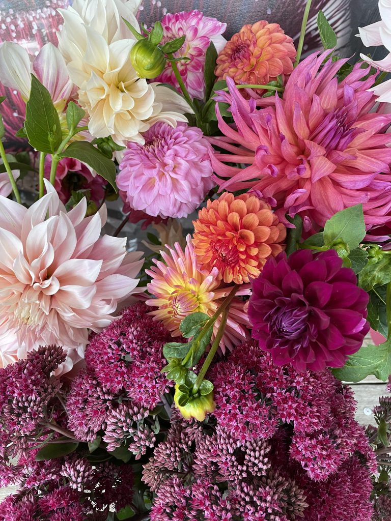 What's in season? Have you seen the Dahlia Flower?