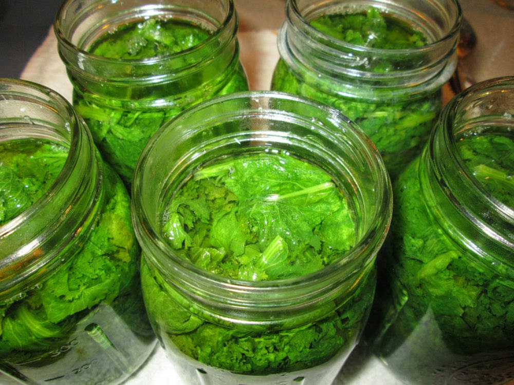 to Kat's Canning Tidbits I hope you enjoy your visit! CANNING