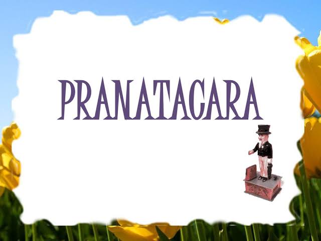 SINAU BASA JAWA PRANATACARA