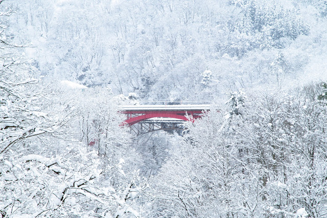 #photo #landscape #sigma #foveon #sdquattroh #japan #yamagata #tsuruoka #写真 #風景写真 #山形帝國 #山形県 #鶴岡市