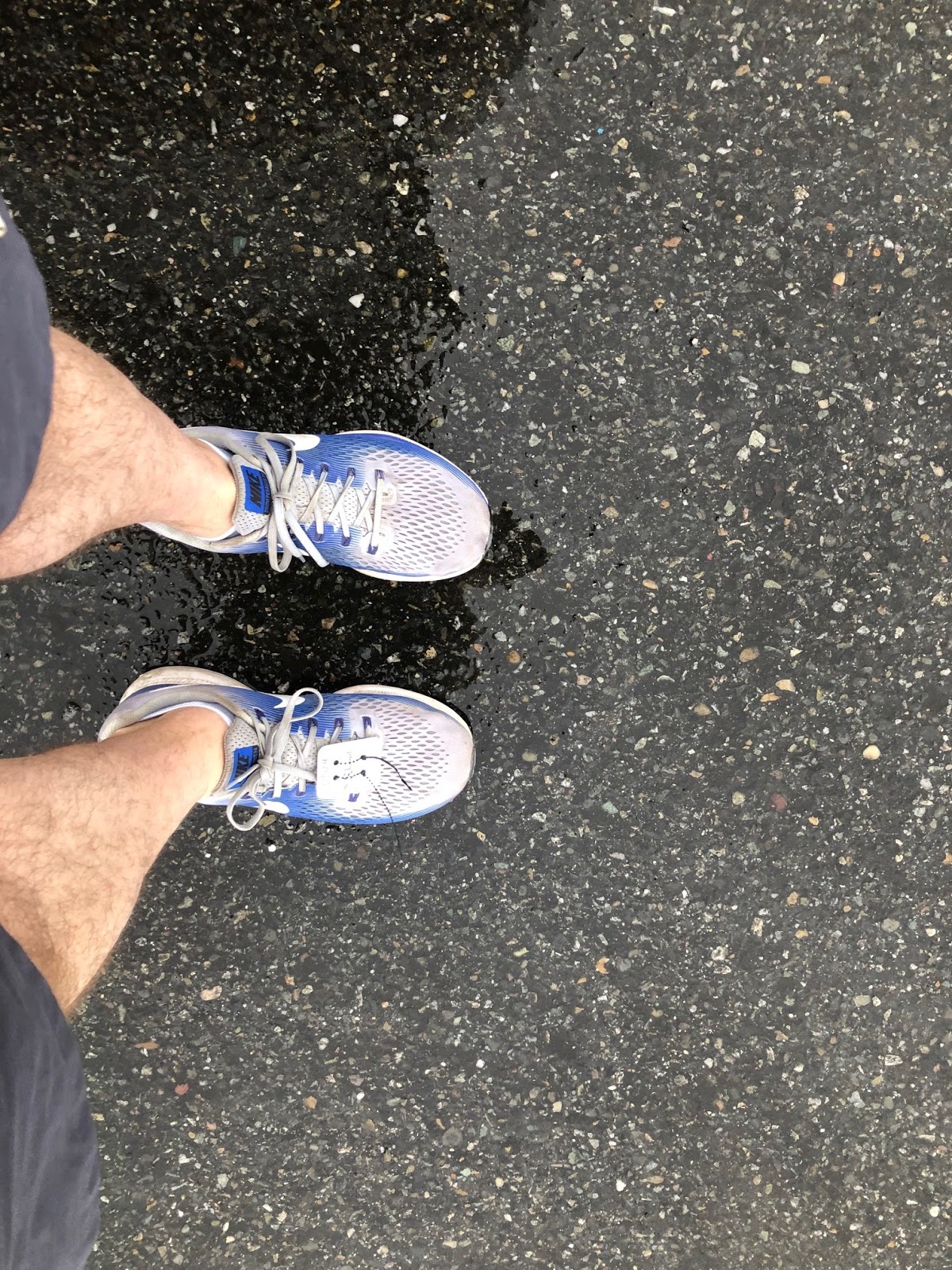 Before The Deluge Skagit Flats Half Marathon