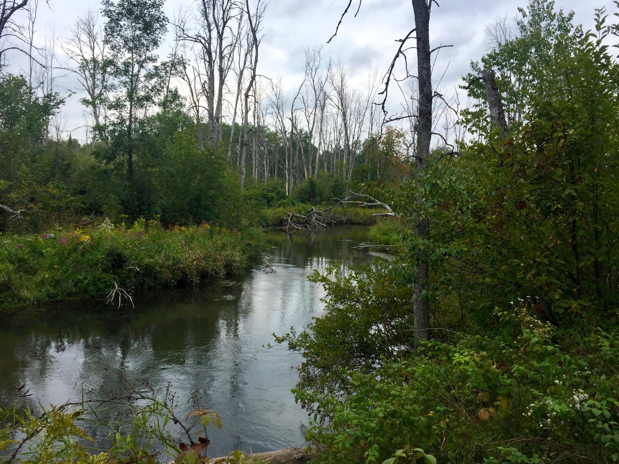 Travel Reviews & Information Northeast Lower Michigan Rifle River