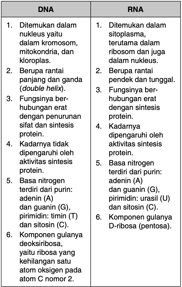 Bandingkan Struktur Fungsi Dan Materi Penyusun Dna Dan Rna Tulislah Dalam Bentuk Tabel - Mas Dayat