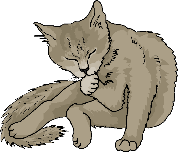 free funny cat clip art - photo #8