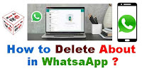 How to Delete About in WhatsApp?