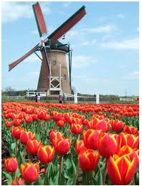 the first windmill