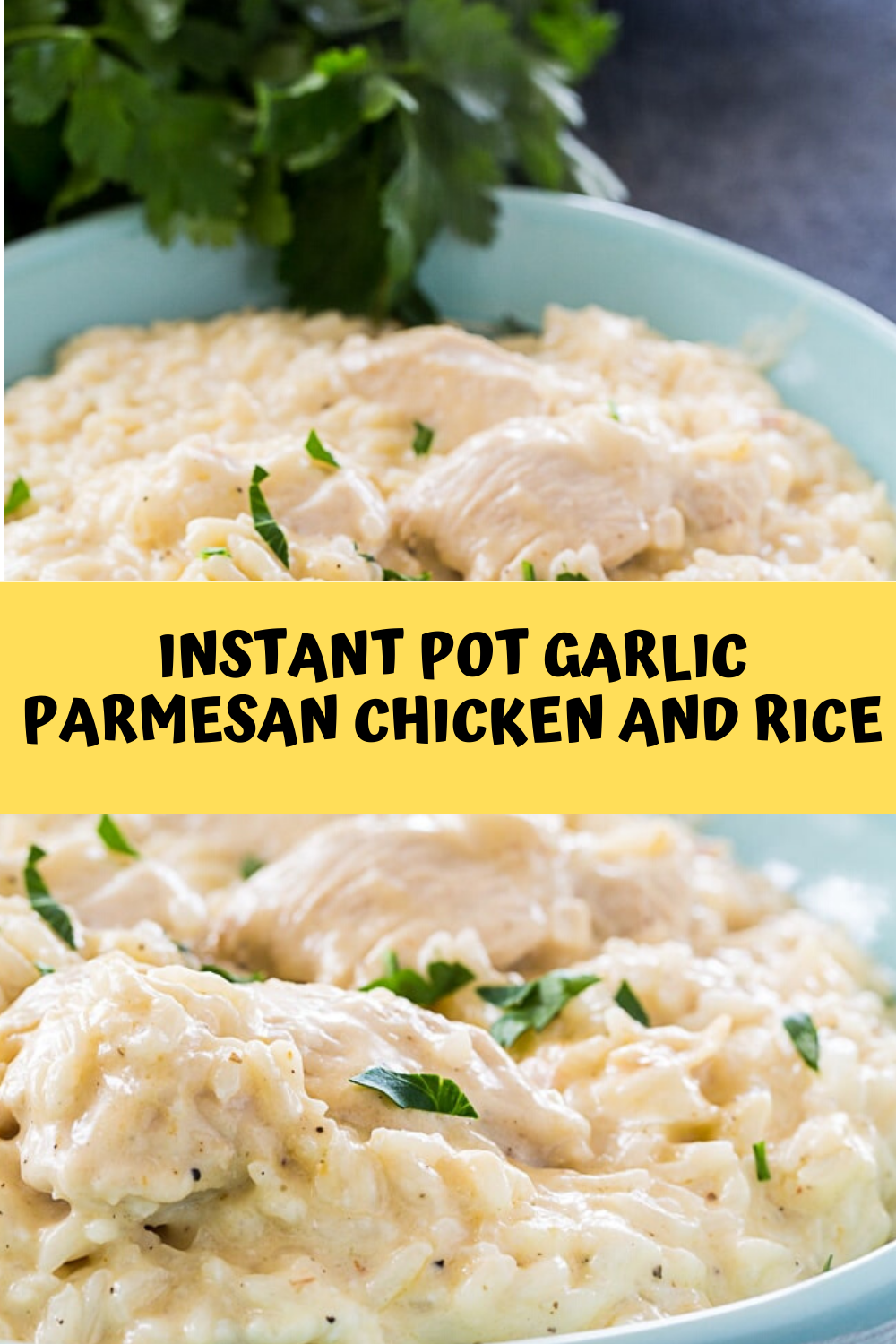 Instant Pot Garlic Parmesan Chicken and Rice