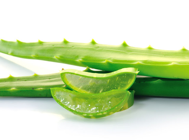 Jerawat Pasir Sangat Mengganggu? Cobain Aja Tips Ini Ampuh Hilangkan Jerawat Pasir Sampai ke Akarnya Jerawat Pasir Sangat Mengganggu? Cobain Aja Tips Ini Ampuh Hilangkan Jerawat Pasir Sampai ke Akarnya