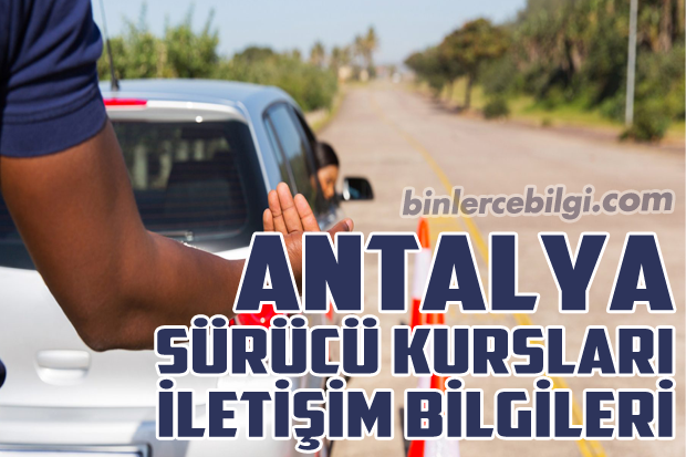 Ozel Yetenek Sinavlarina Hazirlik Antalya Resim Kursu 2020 Resim Portre Antalya