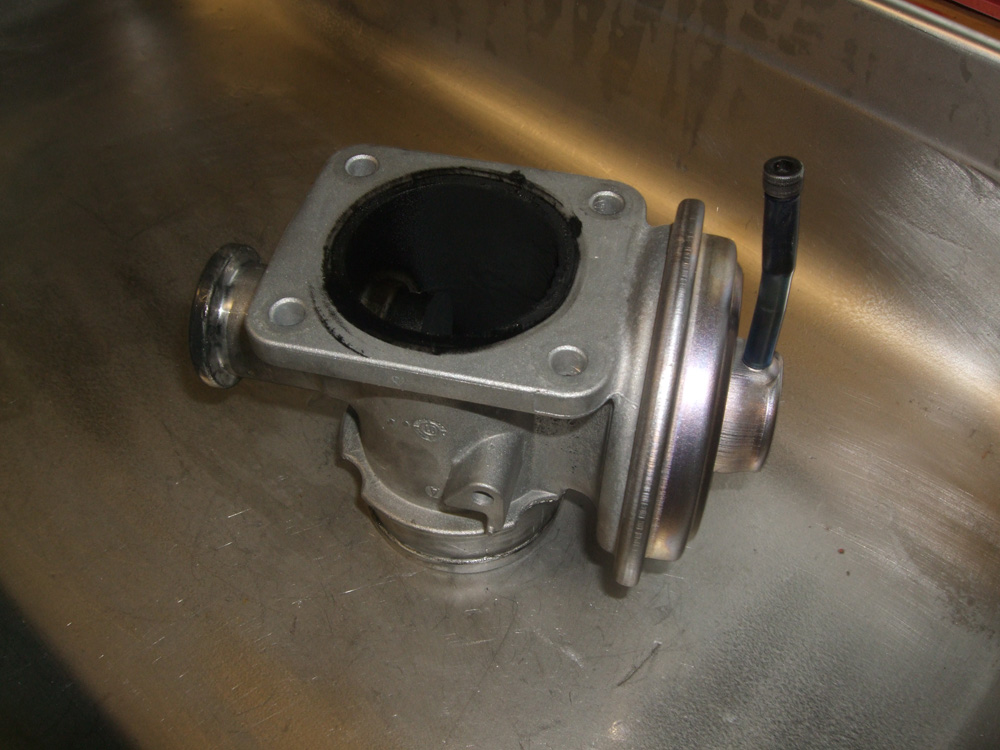 BMW E46 EGR Valve Bypass [Visual Guide]