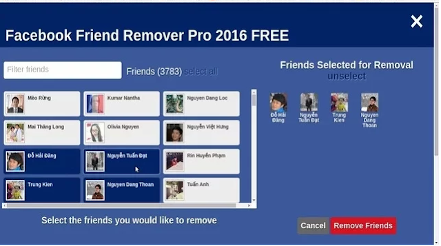 Friend Remover Pro