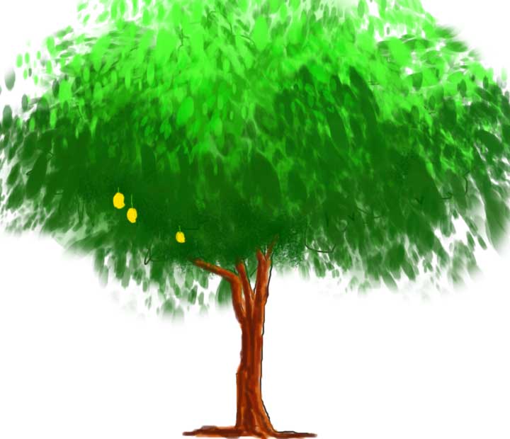 Featured image of post How To Draw Mango Tree For Kids