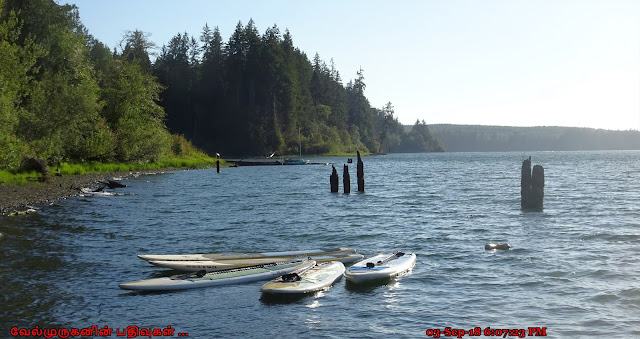 Lake Quinault Olympic Peninsula