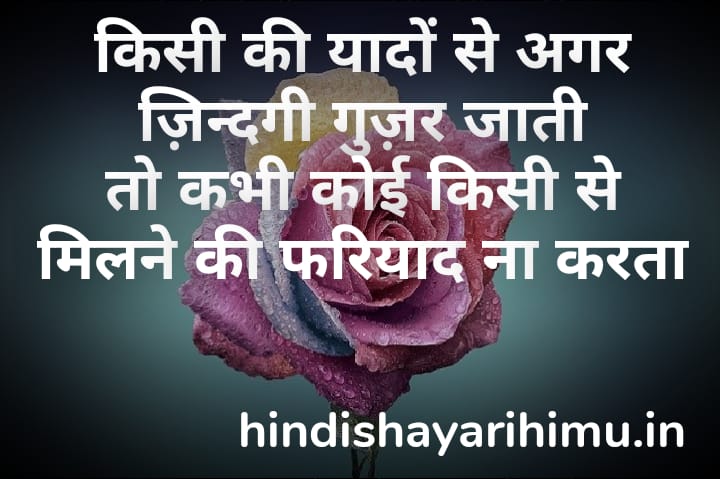 Love hurt shayari in hindi and english with images