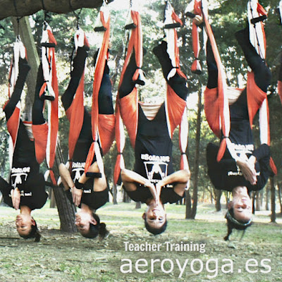 aerial yoga teacher training