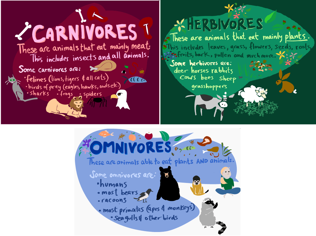 Natural Science 3rd Course