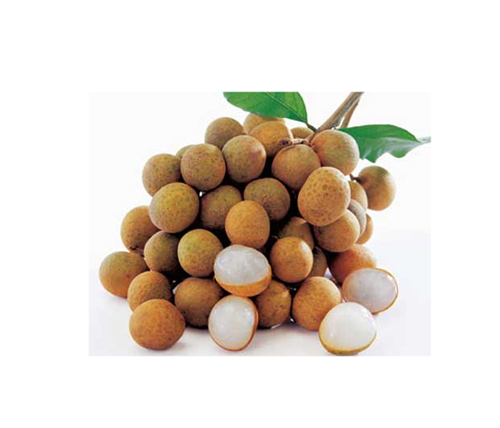 Erek Erek Buah Kelengkeng 2D 3D 4D Menurut Buku Mimpi Erek Erek