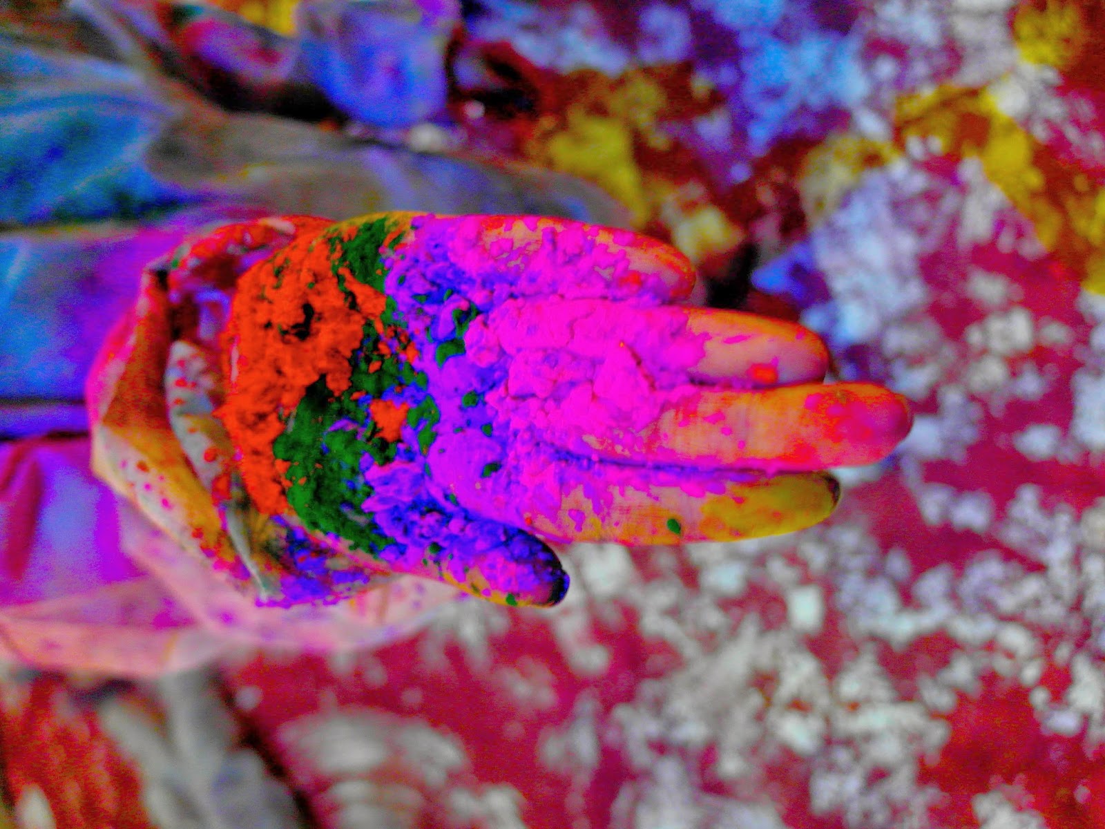 Cinnamon Kitchen , Anise Bar, Play Holi!