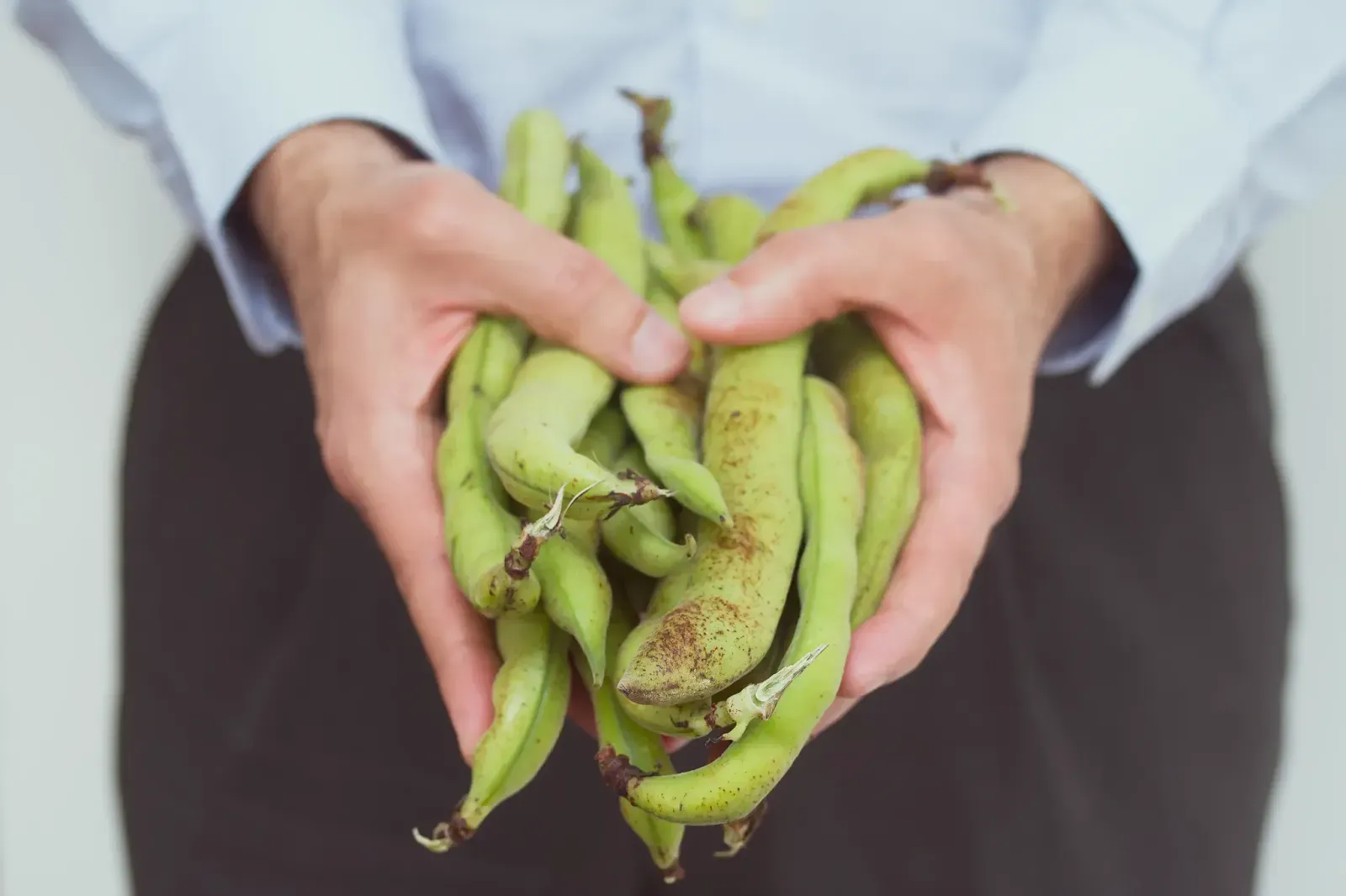 فقر الدم لدى الأطفال والبالغين هو دليل شامل لطرق العلاج