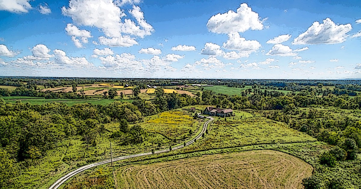 Farm Dover: Seeking perspective