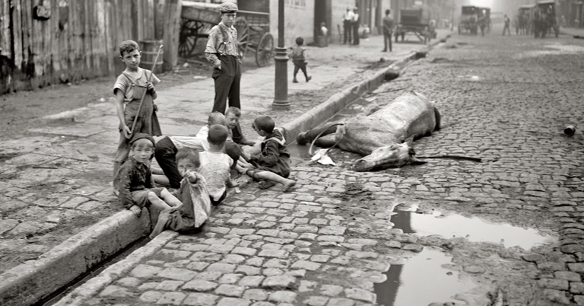 Children Playing in New York City Street Gutter Next to Dead Horse