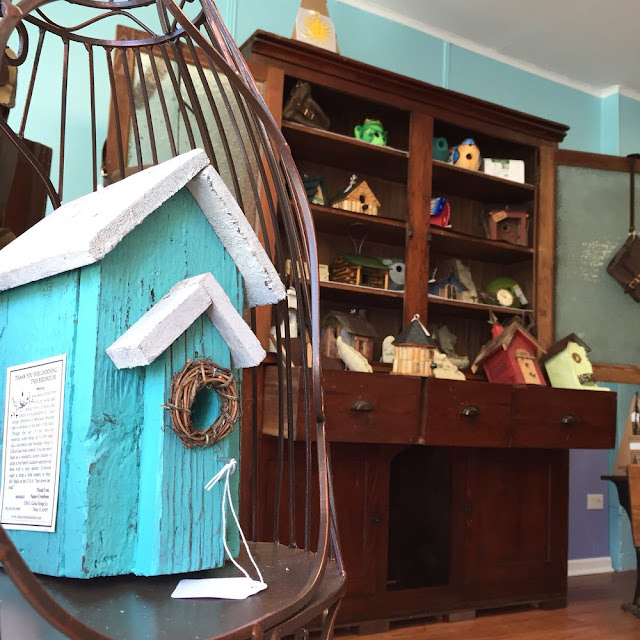 Bird In Everything Bird Homes