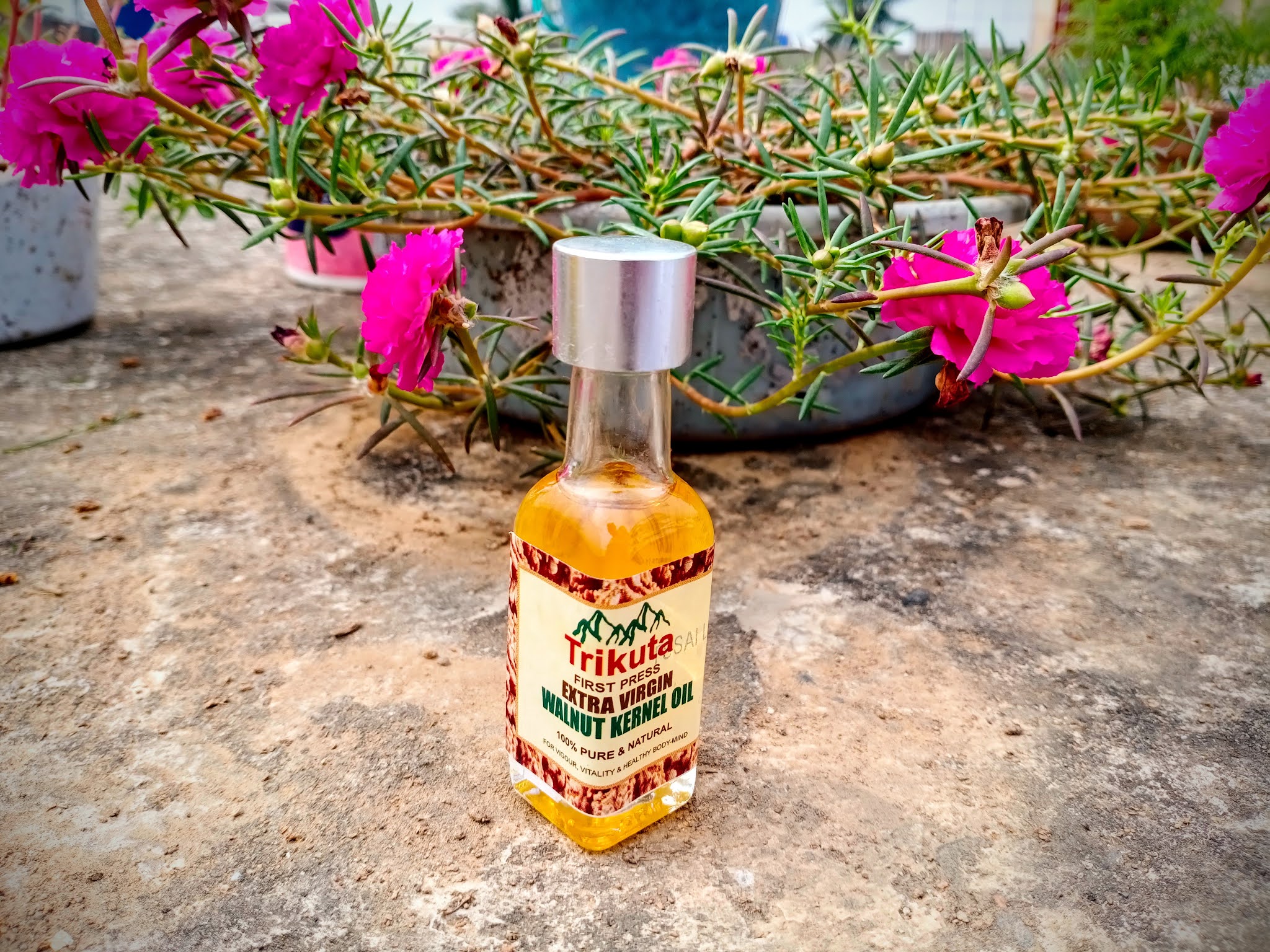 Kashmir Walnut Oil Benefits and Uses on Skin ft Trikuta Oils, Jammu.