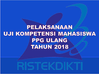 pelaksanaan ukm ppg tahun 2018