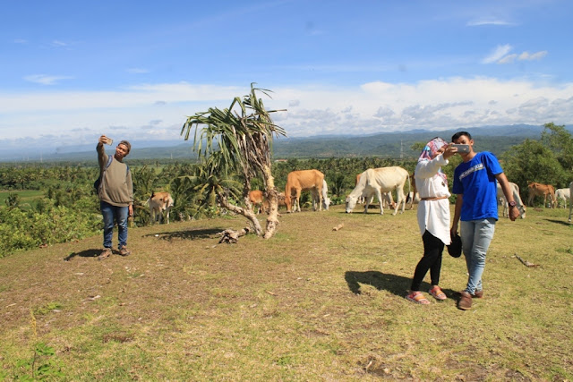 bukit teletubbies garut selatan