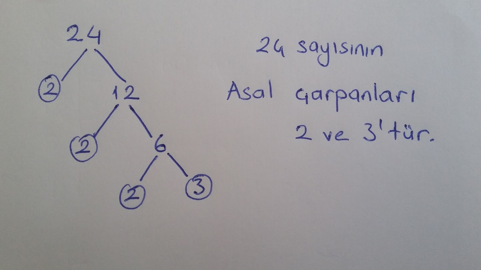 teog matematik carpanlar ve katlar 1 kisim