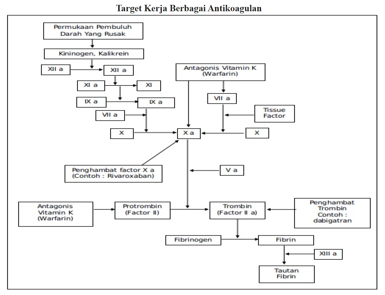 Perdarahan Epidural Spontan Akut pada Kombinasi Terapi