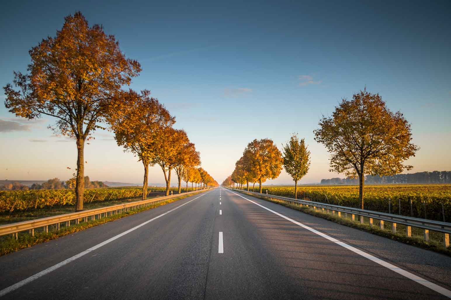 Facts You Need to Know About Right of Way on the Road Facts You Need to Know About Right of Way on the Road