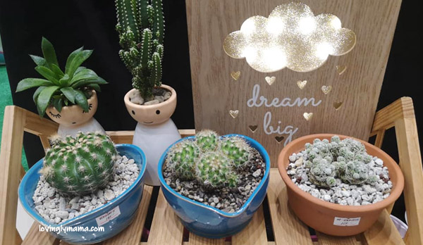 Expo Mom 2019 Negros - Mommy Mundo - motherhood - Pass It On Mom - Mommy Sigrid - succulents