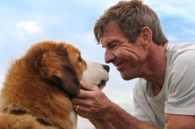 A Dog's Purpose: Film Review