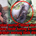 KISAH BENAR... TERGAMAK Rakan Sebilik Sihir Wanita Ini Hingga Meninggal Dunia... ZALIMNYA !