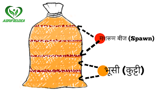 How to Grow Oyster Mushroom in hindi