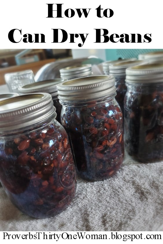 How (and Why) to Can Dry Beans Proverbs 31 Homestead
