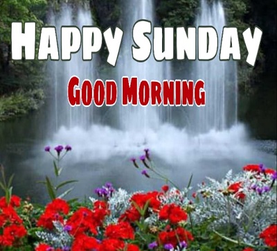 Good Morning Happy Sunday | 25+ Good morning happy Sunday Images Good Morning Happy Sunday | 25+ Good morning happy Sunday Images