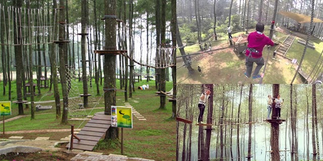 Sensasi Wisata Petualangan Ketinggian di Bandung Treetop Adventure Park