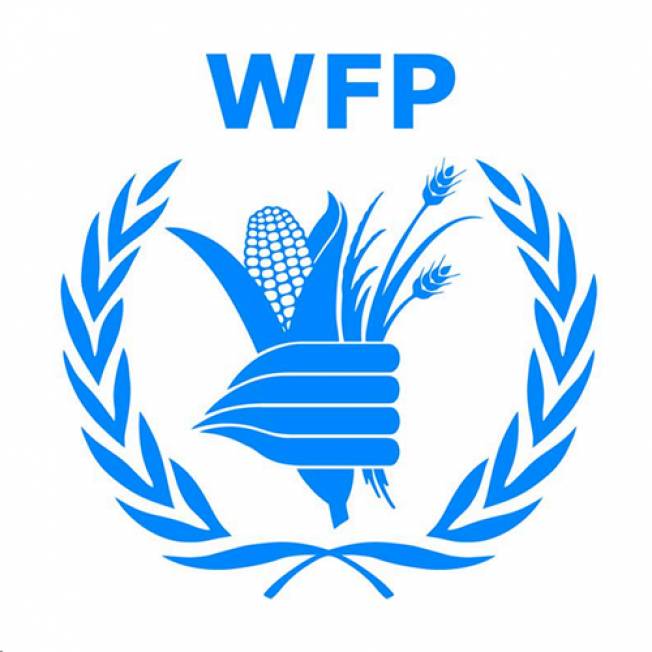 Monitoring Assistant SC4 WFP