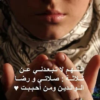 1824_572439796110858_1128921958_n