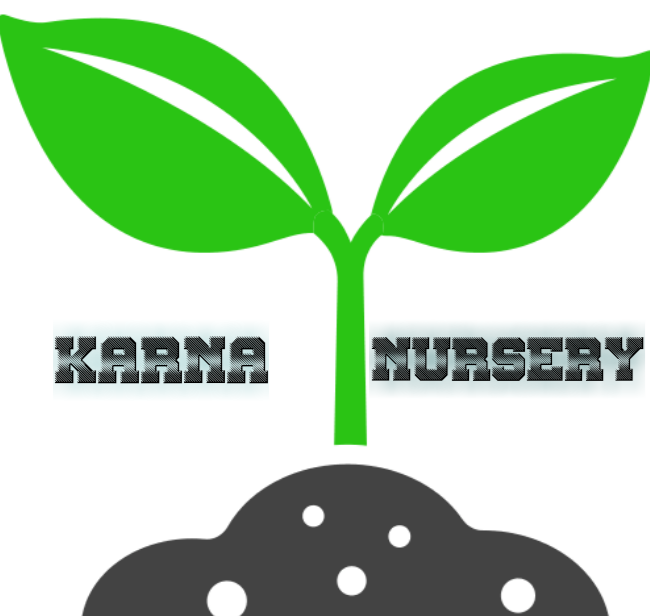 Karna Nursery