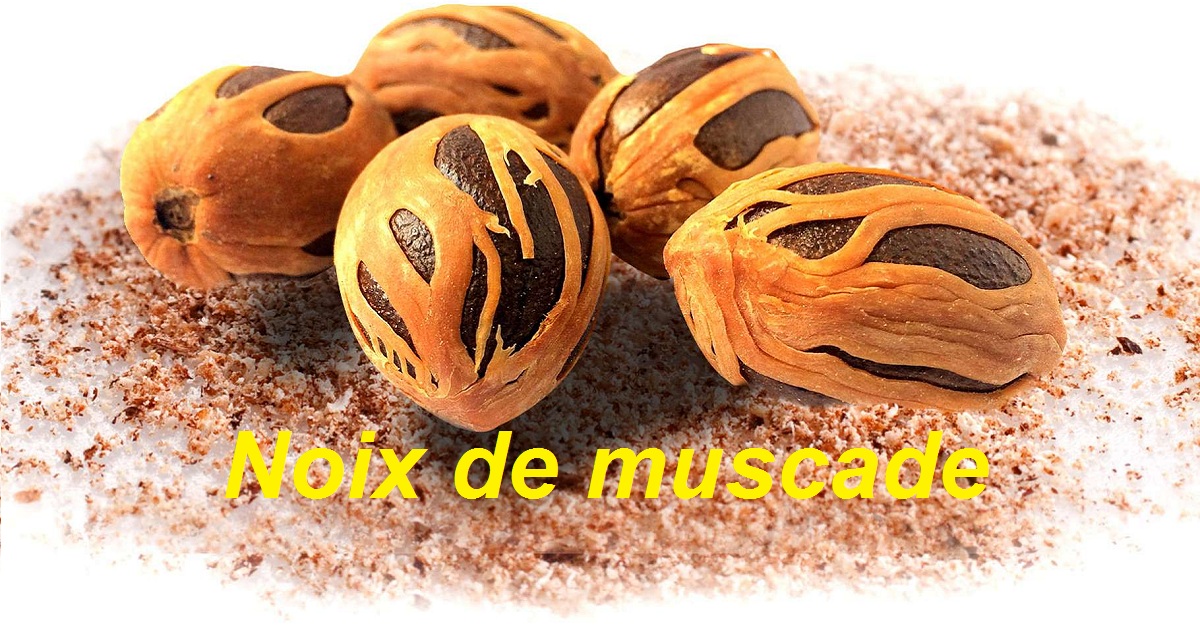 La noix de muscade, une épice aux nombreux bienfaits Sport et Santé